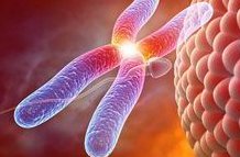 福州三代试管价格概述，附上试管流程参考！